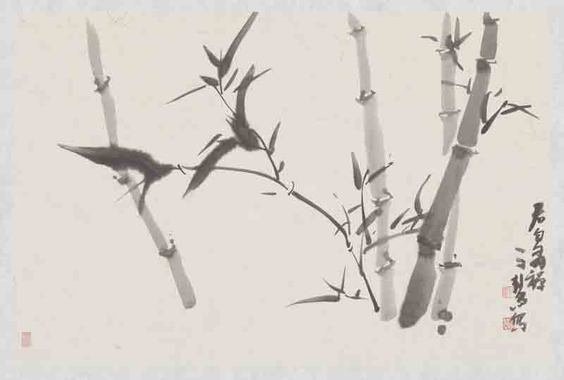 ��ѧ�ۣ��������� ��ī˿��