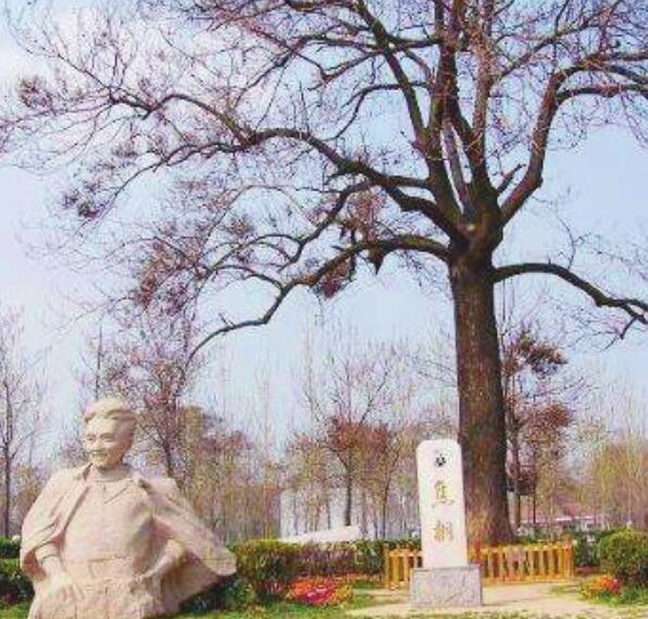 ��ͩ����ɫӽ̾