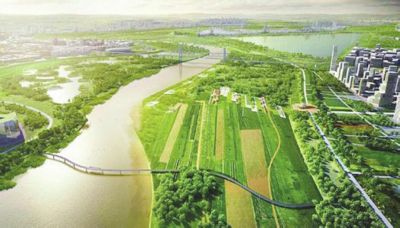 �����ƺ���̬���ô�ս��